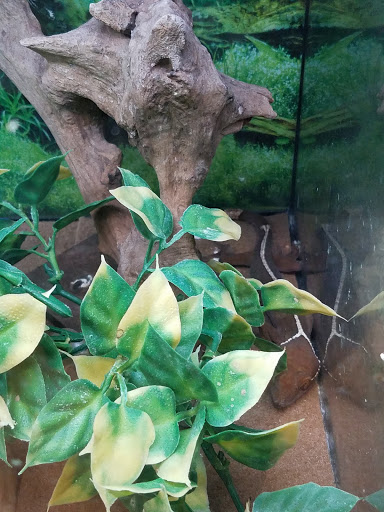 Pet Store «Tanks Pet Supply», reviews and photos, 628 S Main St, Princeton, IL 61356, USA