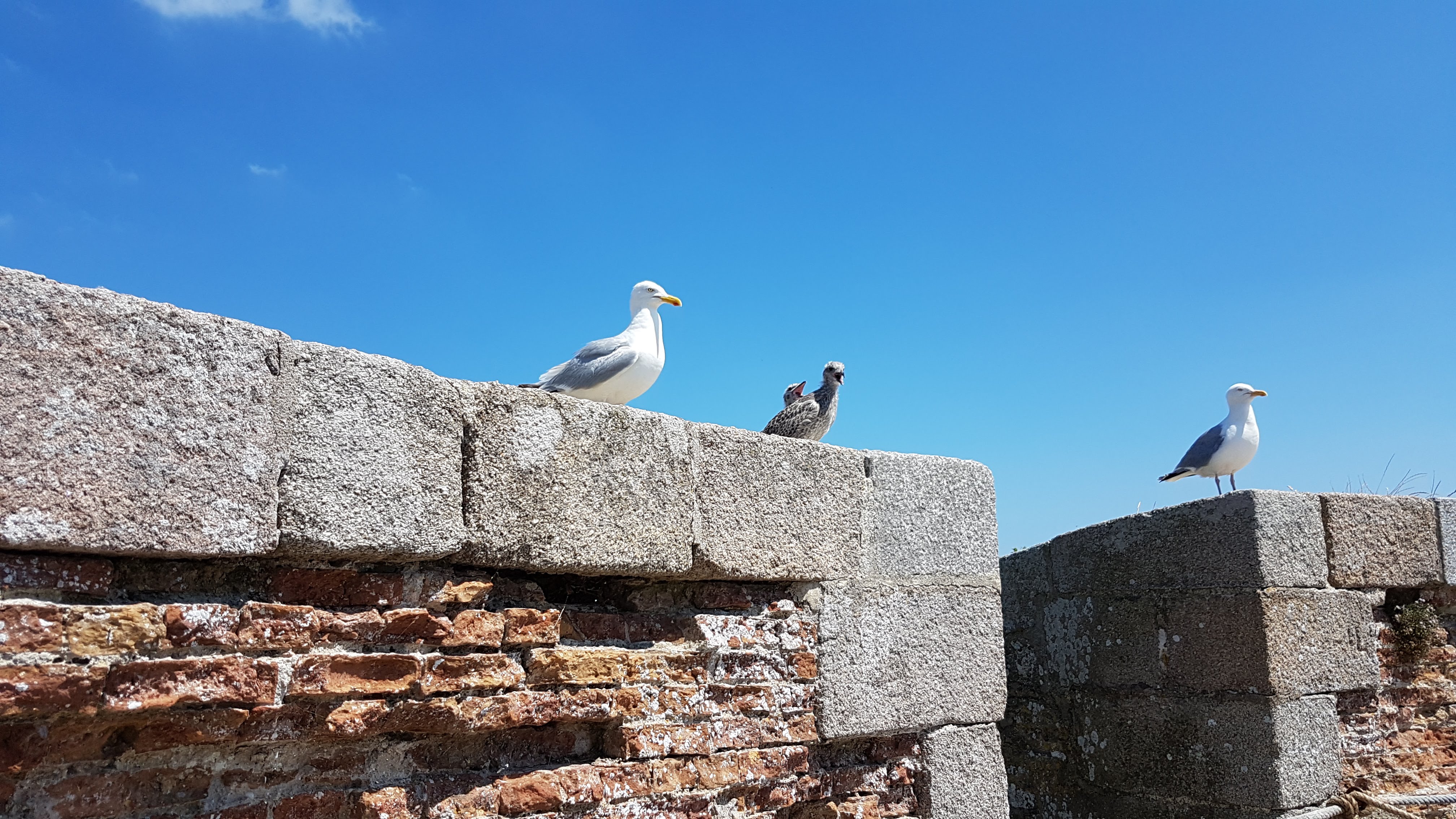 Photo n° 9 de l'avis de Jean-Pierre.E fait le 23/07/2019 à 14:20