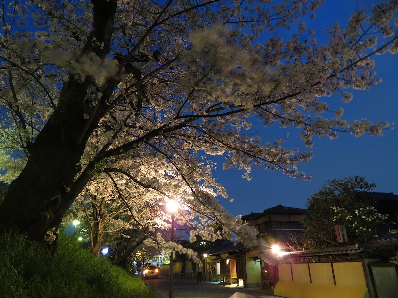 高台寺公園