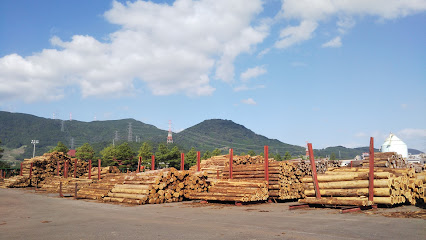 伊万里木材市場
