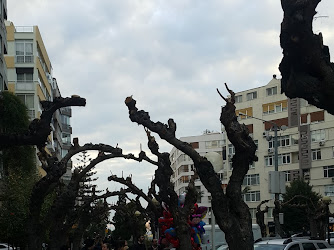 Alsancak Mahallesi Muhtarlığı