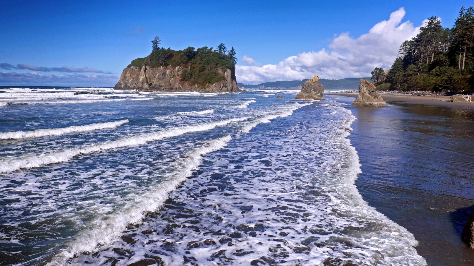 Fotografie cu Ruby Beach cu o suprafață de nisip maro și roci