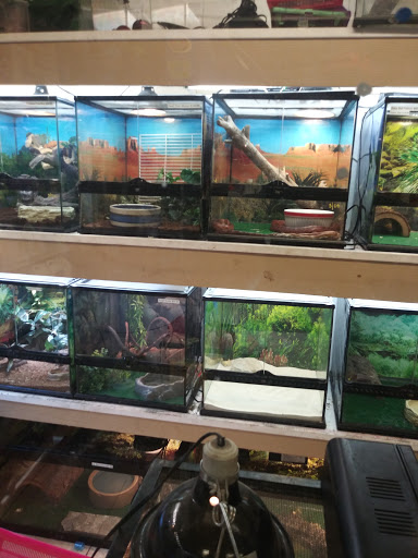 Pet Store «Fosters Exotic Pet Center», reviews and photos, 40116 US Hwy 19 N, Tarpon Springs, FL 34689, USA