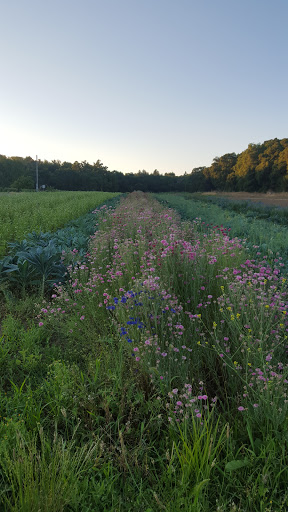 Farm «Oak Hill Farm», reviews and photos, 15101 CA-12, Glen Ellen, CA 95442, USA