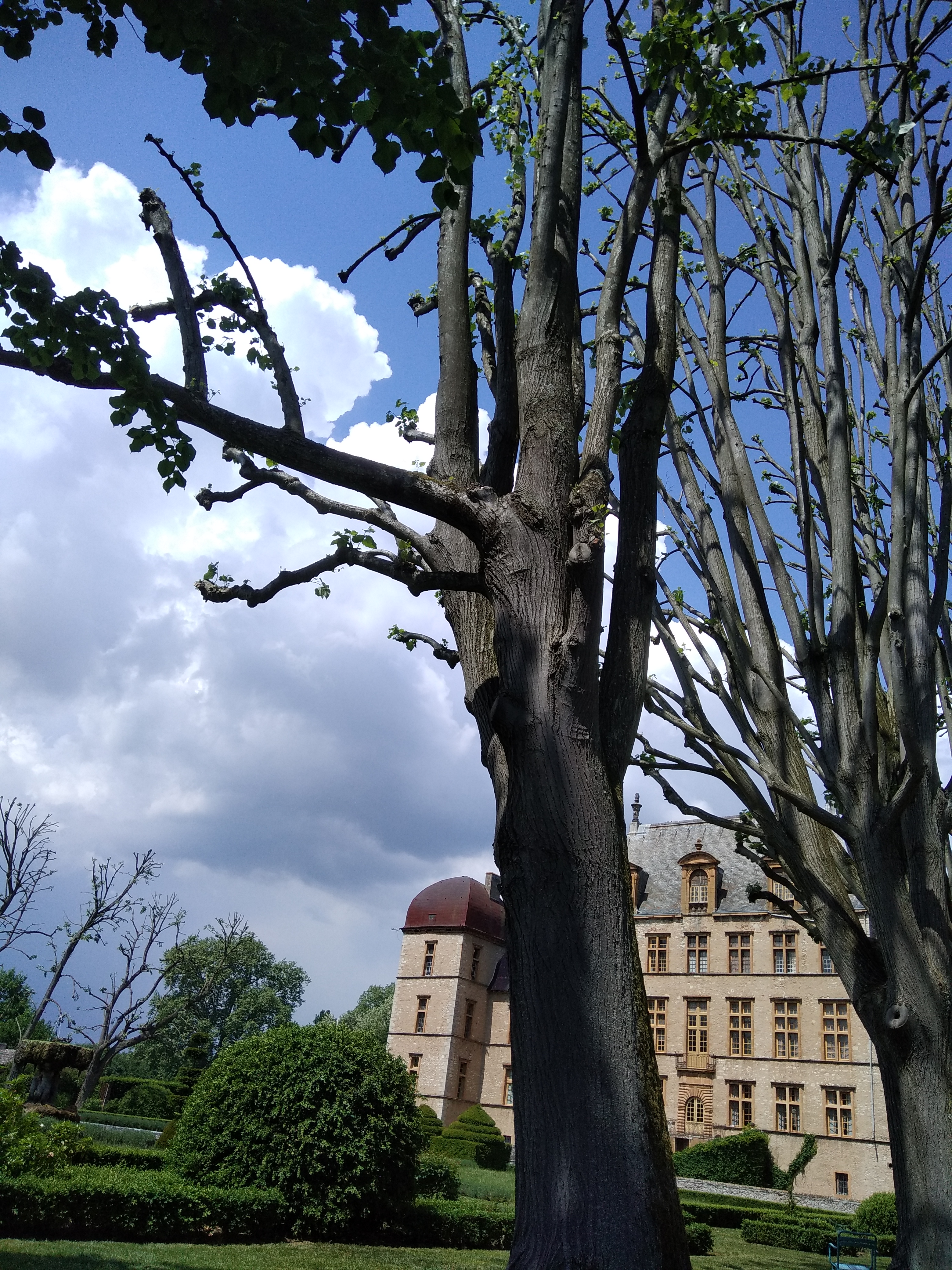 Photo n° 14 de l'avis de Rafaël. fait le 08/05/2018 à 11:48