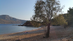 Paralia Kokkina'in fotoğrafı biraz temiz temizlik seviyesi ile