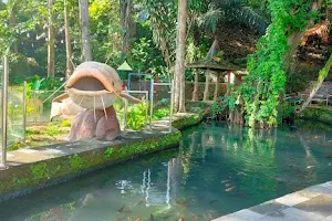 Kampung Wisata Taman Lele Semarang image
