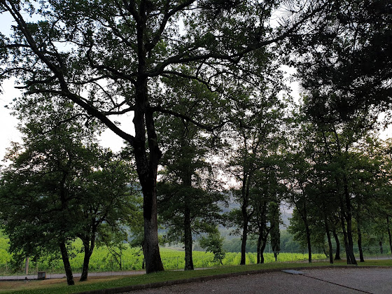 Photos des visiteurs Appartamento vacanze Holiday House Le Selvole 53017 Radda in Chianti