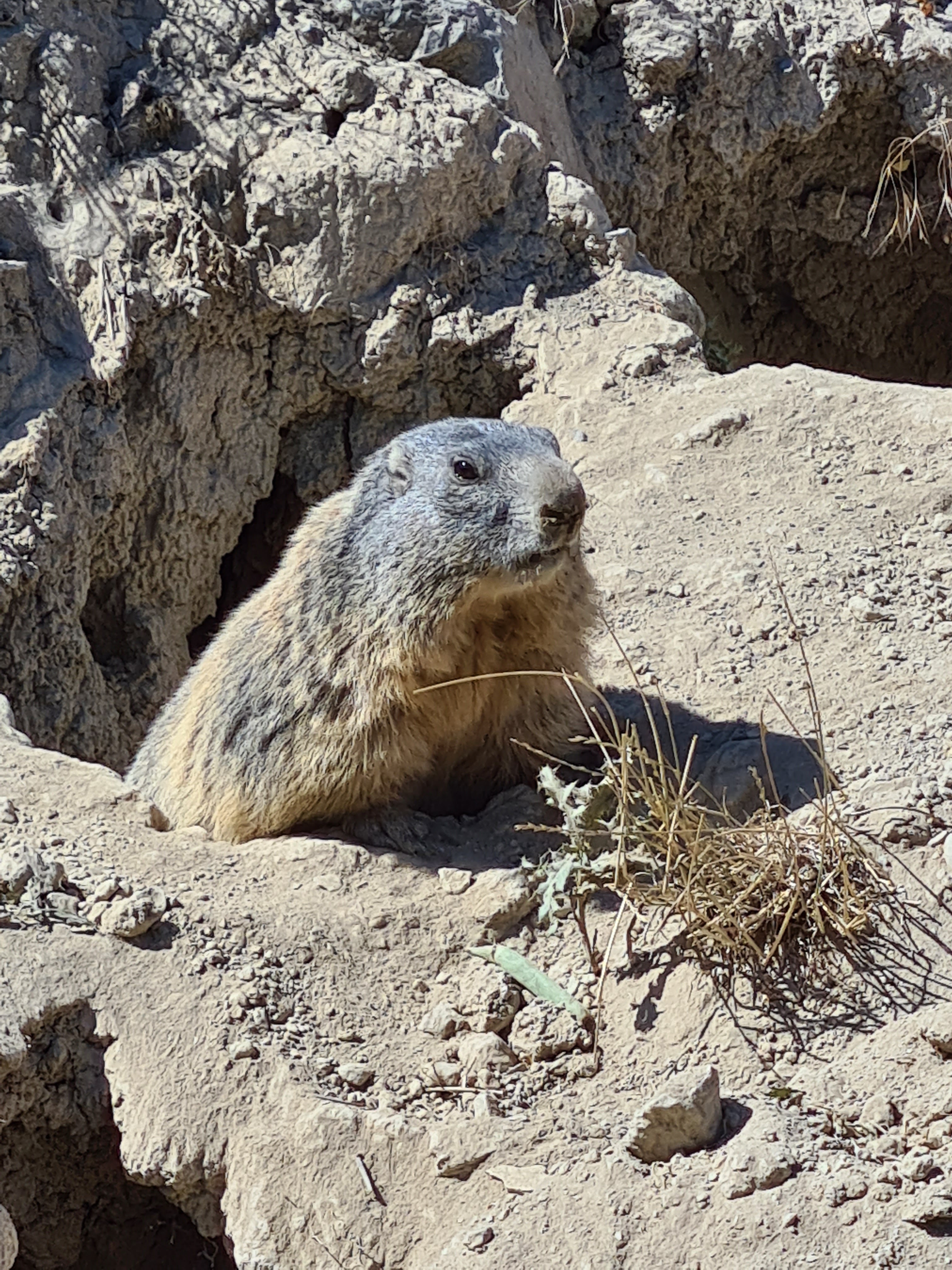 Photo n° 2 de l'avis de LEVEQUE.a fait le 22/08/2023 à 08:44