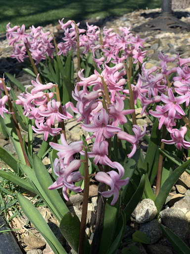 Event Planner «Merry Me Events», reviews and photos, 69956 Brizendine St, Edwardsburg, MI 49112, USA