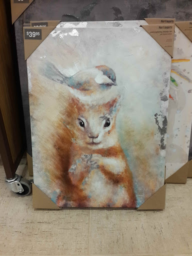 Home Goods Store «Pier 1 Imports», reviews and photos, 1583 Providence Hwy, Norwood, MA 02062, USA