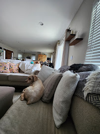 Christy's Pet Care Your Pet is #1...count on it - Photo 8 - Car repair in , Los Angeles