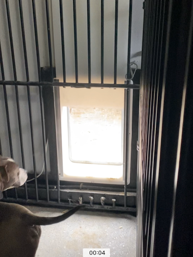 Gun Dog House Door, INC.