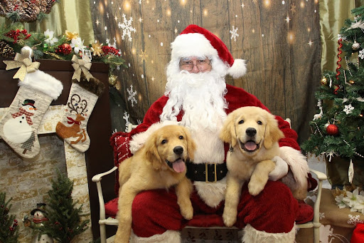 Pet Supply Store «The Hungry Puppy», reviews and photos, 1288 NJ-33, Farmingdale, NJ 07727, USA