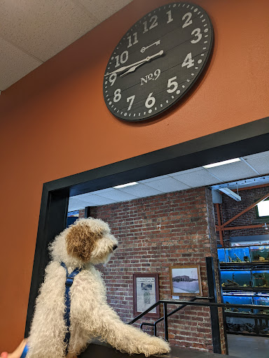 Pet Store «The Pet Works», reviews and photos, 407 4th Ave E, Olympia, WA 98501, USA