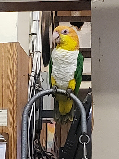 Pet Store «Just Pets», reviews and photos, 393 NY-5, Irving, NY 14081, USA