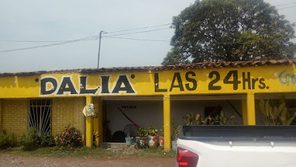 Comedor DALIA - Carretera panamericana km. 67 río, Santo Domingo Zanatepec, Oax., Mexico