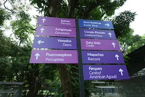 Buenaventura Zoo image