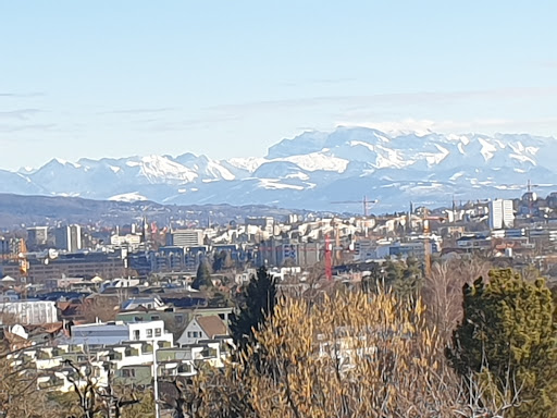 Ponyreiten Zürich