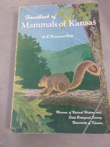 Used Book Store «Recycled Reads Bookstore, Austin Public Library», reviews and photos