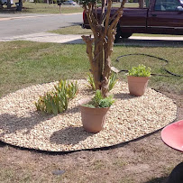 C.U.B lawn care - Photo 5 - Car repair in , Warner Robins