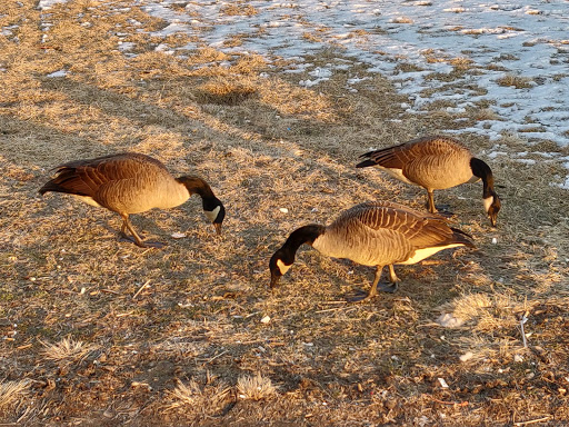 Movie Theater «AMC», reviews and photos, 651 Kapkowski Rd, Elizabeth, NJ 07201, USA