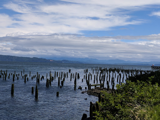 Coffee Shop «3 Cups Coffee House», reviews and photos, 279 W Marine Dr, Astoria, OR 97103, USA