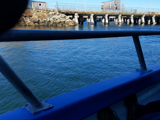 Hotel «Atlantic Oceanside Hotel & Event Center», reviews and photos, 119 Eden St, Bar Harbor, ME 04609, USA