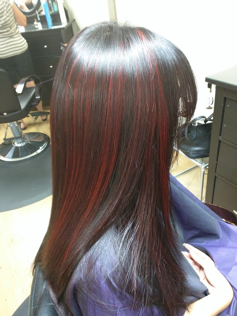 Steiner Salon 06067