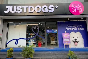 JUSTDOGS - Pet Store & Spa | Bopal, Ahmedabad image