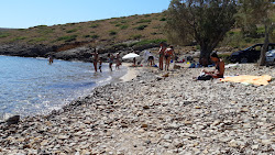 Paralia Agia Kioura'in fotoğrafı ve güzel manzarası