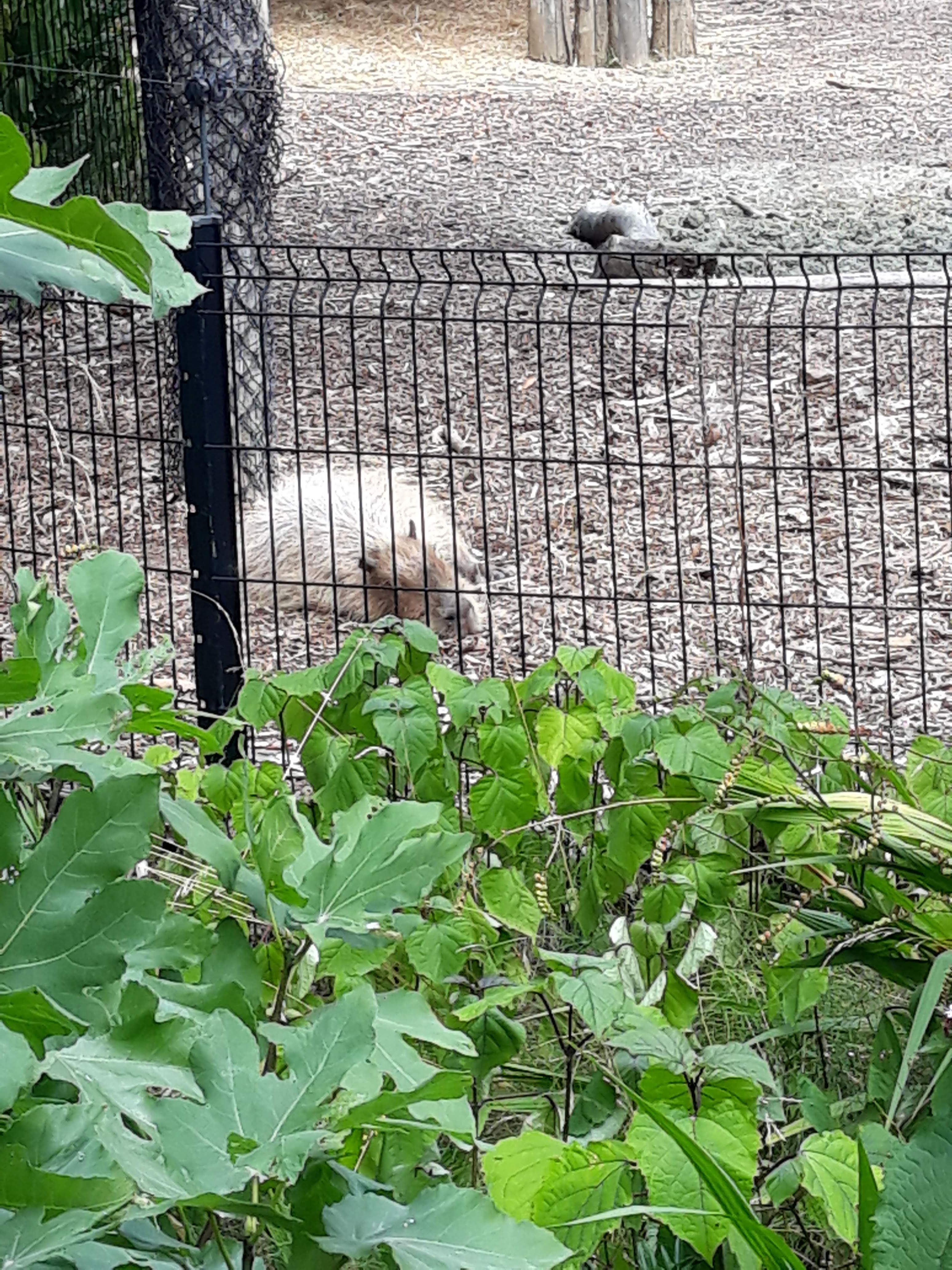 Photo n° 18 de l'avis de Ludo.a fait le 30/08/2021 à 17:15