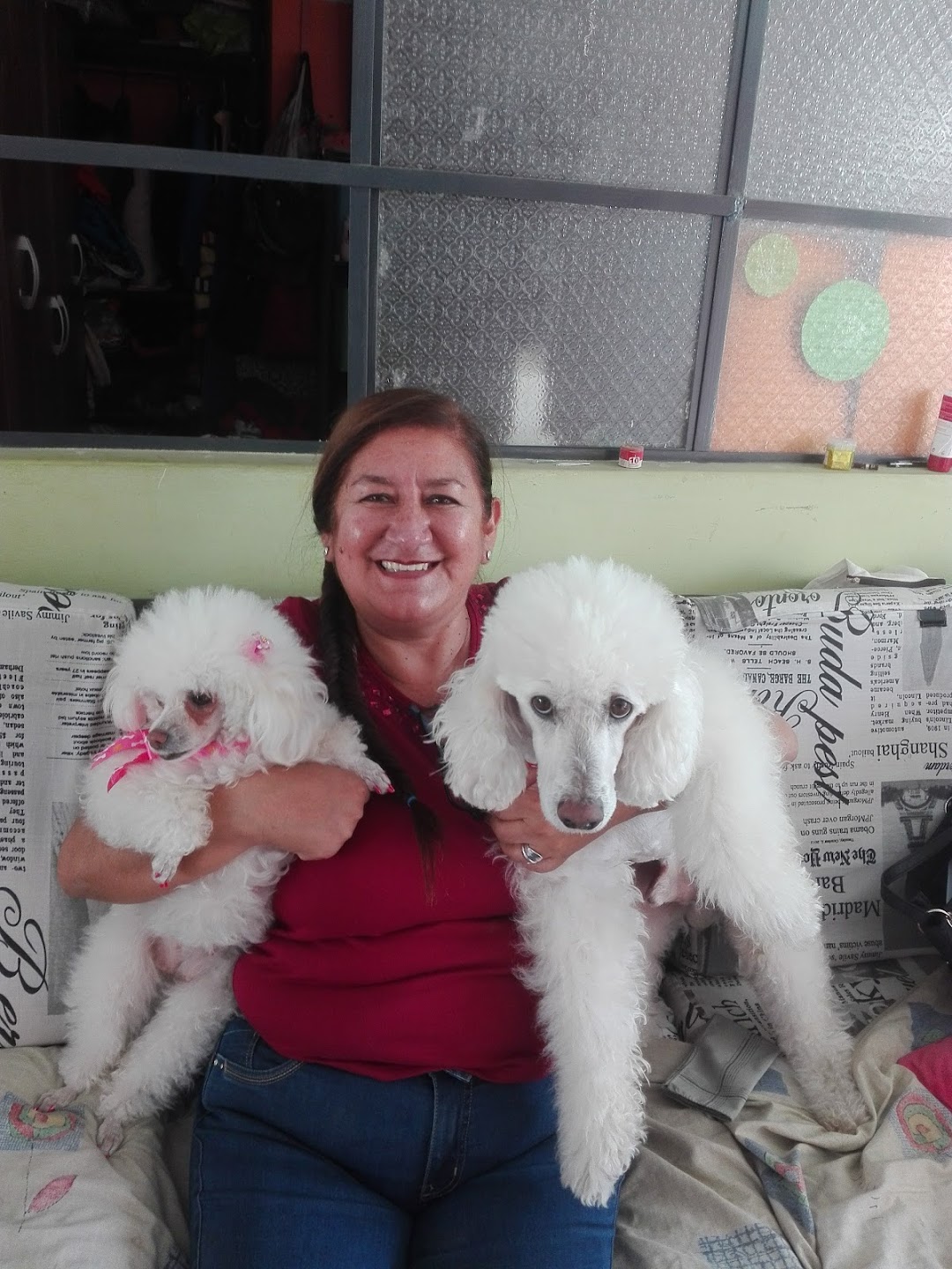 Animal Fashion Peluqueria Canina