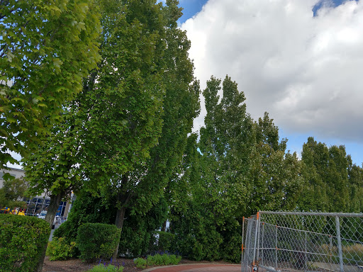 Tourist Attraction «Leaning Tower of Niles», reviews and photos, 6300 Touhy Ave, Niles, IL 60714, USA