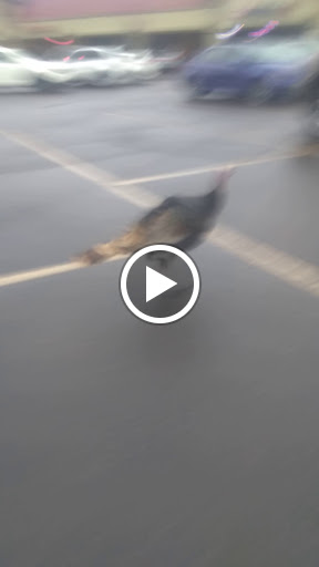 Liquor Store «Cork & Bottle Shoppe», reviews and photos, 1875 NW 9th St, Corvallis, OR 97330, USA