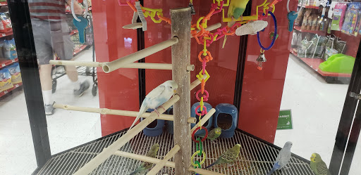 Pet Supply Store «Petco Animal Supplies», reviews and photos, 1624 Governors Square Blvd, Tallahassee, FL 32301, USA