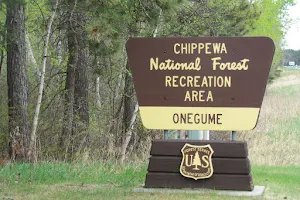 Chippewa National Forest image