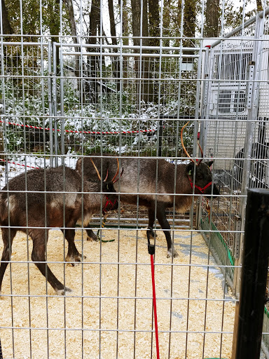 Produce Market «Welsh Heritage Farms», reviews and photos, 20758 528th Ave, Lake Crystal, MN 56055, USA