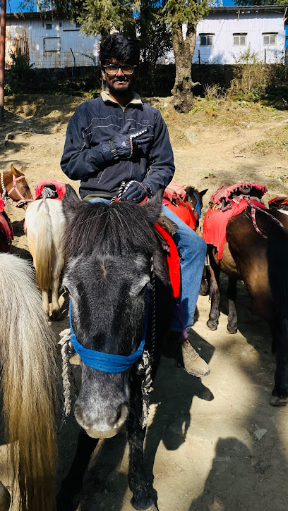 Kufri Horse Ride