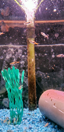 Pet Supply Store «All About Pets», reviews and photos, 9285 Cincinnati Columbus Rd, West Chester Township, OH 45069, USA