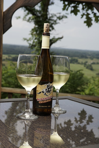 Winery «Cave Valley Winery», reviews and photos, 22850 Louisville Rd, Park City, KY 42160, USA