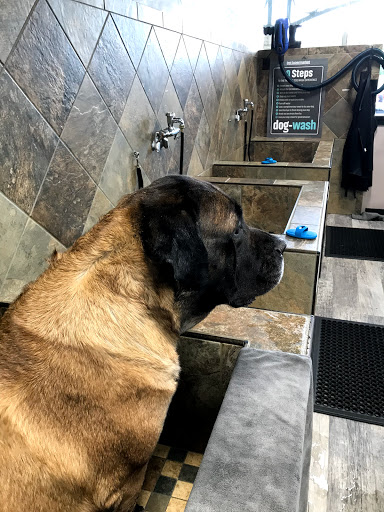 Pet Supply Store «Pet Supermarket, Inc.», reviews and photos, 1052 Peachtree Industrial Blvd, Suwanee, GA 30024, USA