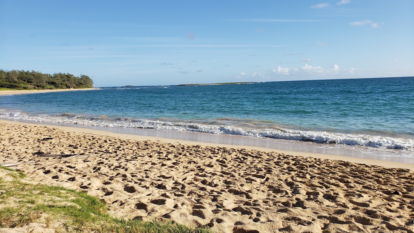 Hukilau Beach Park'in fotoğrafı çok temiz temizlik seviyesi ile