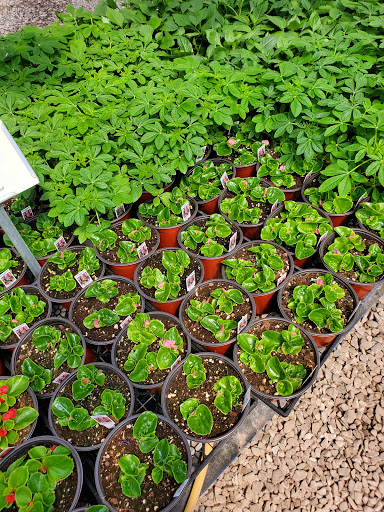 Florist «Countryside Floral And Greenhouses», reviews and photos, 129 Mt Cobb Hwy, Lake Ariel, PA 18436, USA