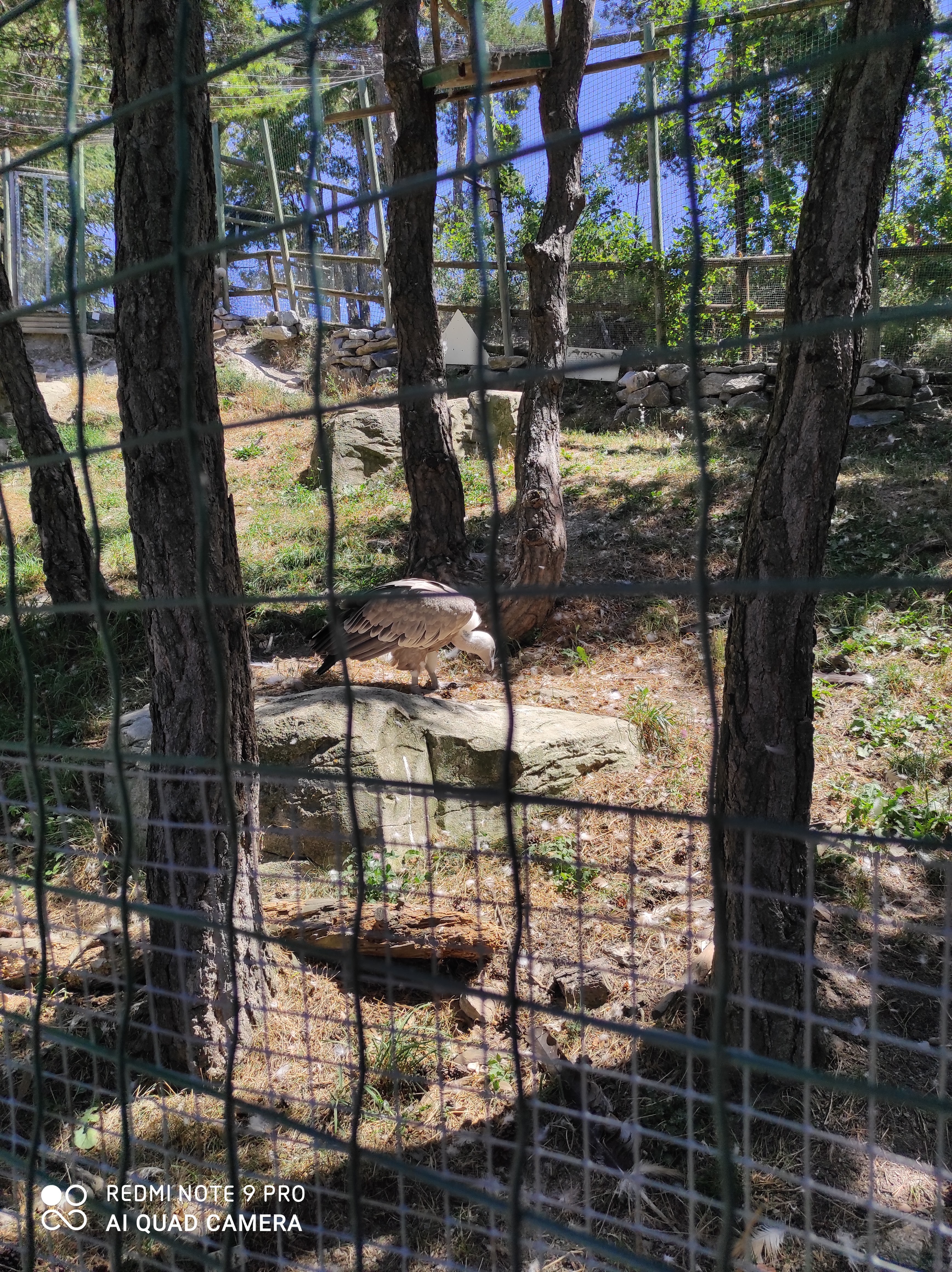 Photo n° 2 de l'avis de Alysse.u fait le 06/08/2020 à 11:16