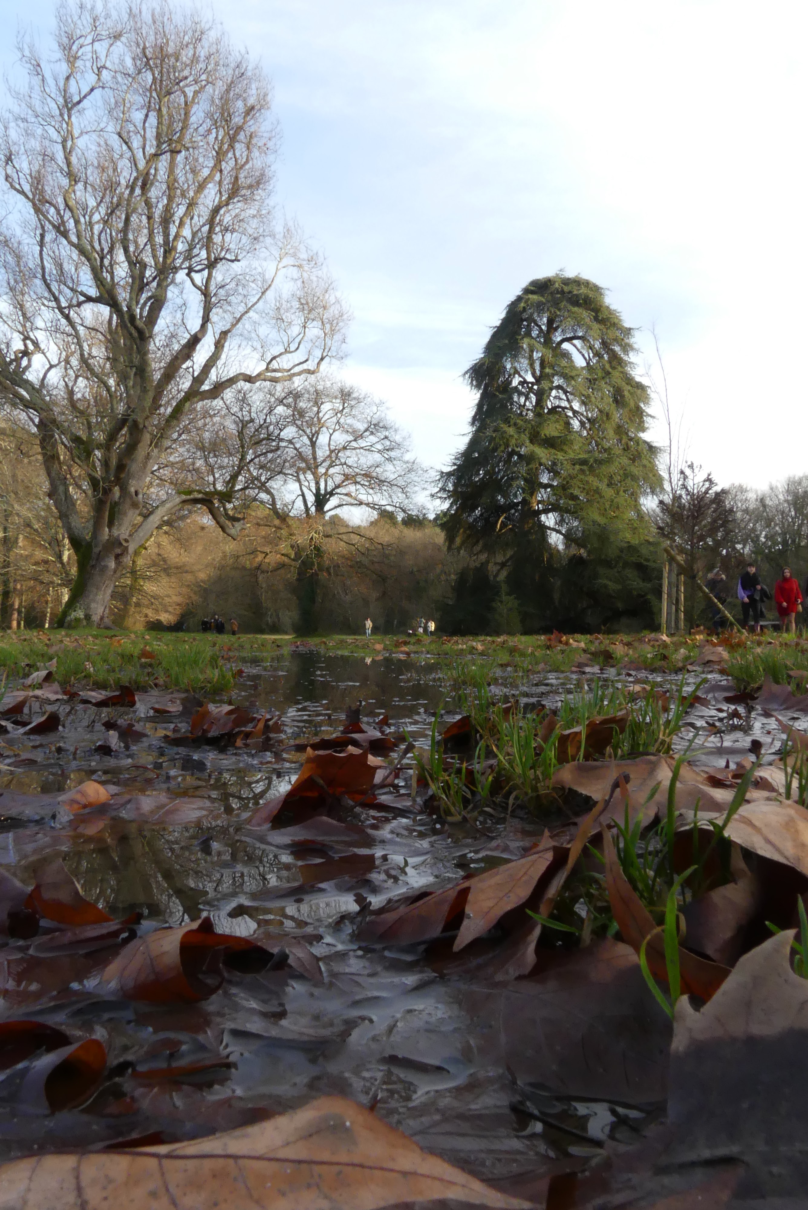 Photo n° 6 de l'avis de Faustin.o fait le 29/10/2020 à 09:41