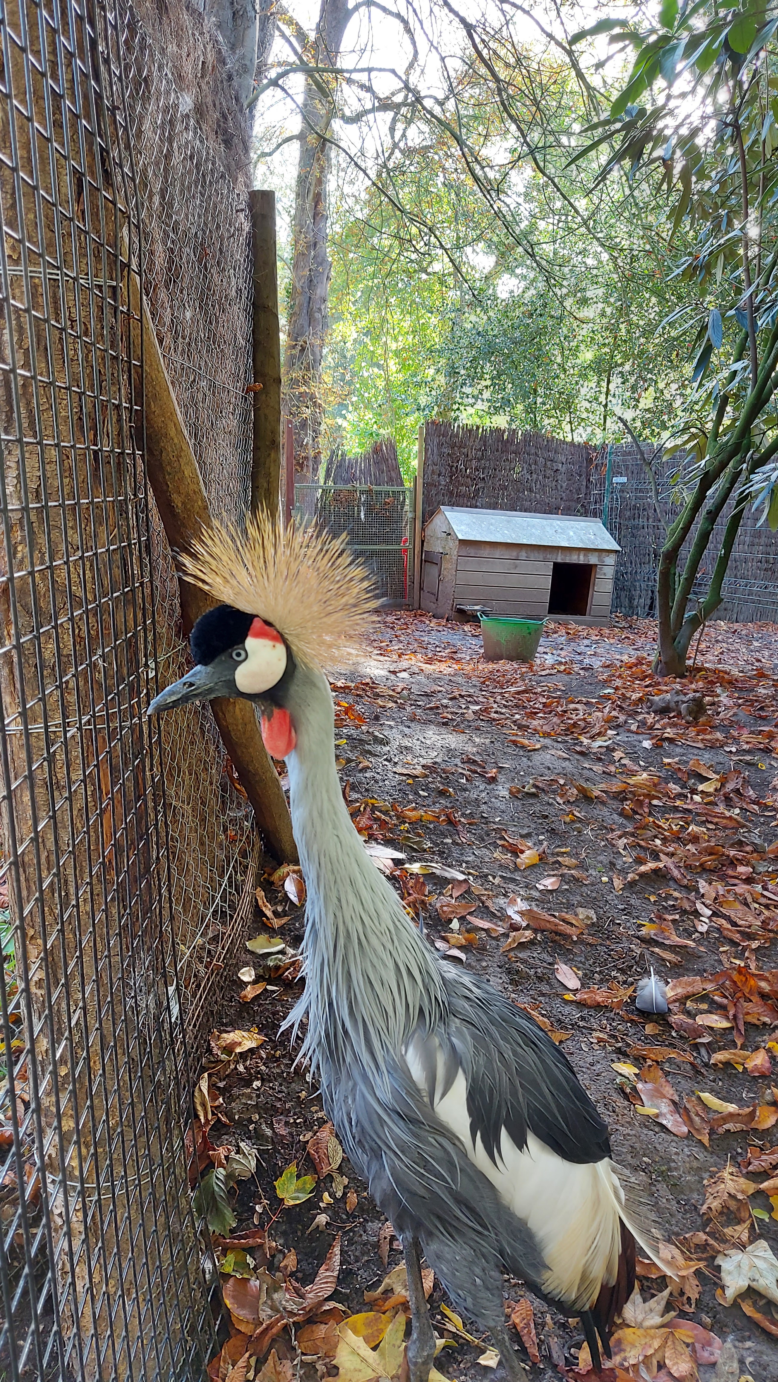 Photo n° 8 de l'avis de Jean-Luc.a fait le 28/10/2022 à 07:36