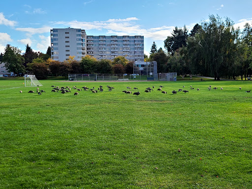 Green Lake Play Field