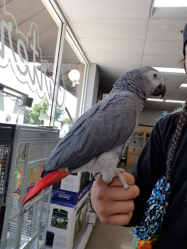 Pet Store «Carters Pet Mart», reviews and photos, 510 N Main St, Manteca, CA 95336, USA