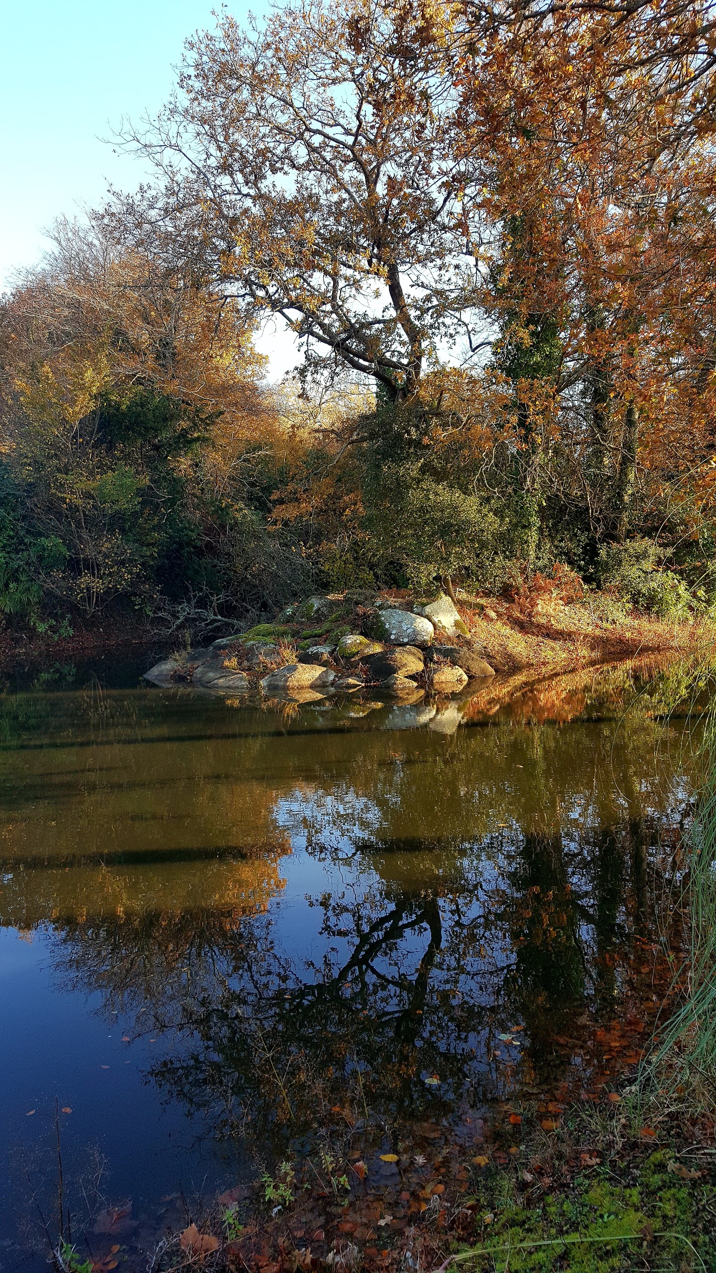 Photo n° 1 de l'avis de Mag.o fait le 26/11/2017 à 19:06